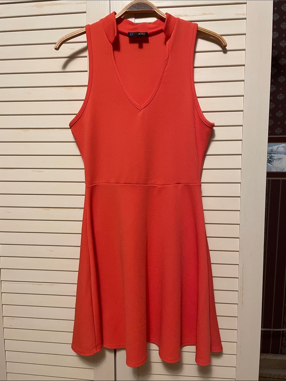 Vintage Sleeveless Coral V-Neck Fit-and-Flare B Famous Mini Dress